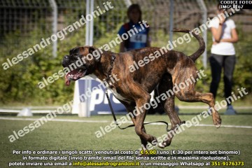 IMG_1167.jpg