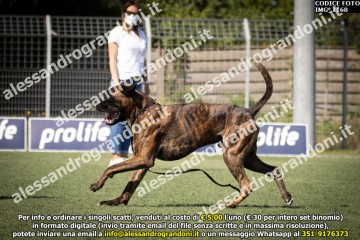 IMG_1168.jpg