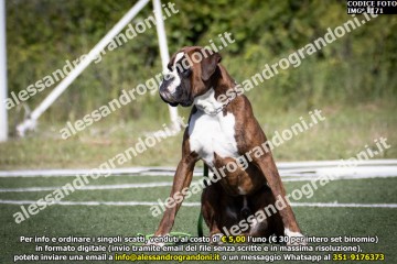 IMG_1171.jpg