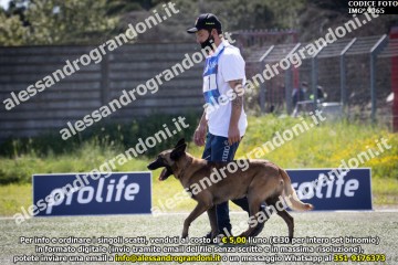 IMG_9365.jpg