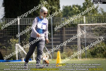 IMG_9368.jpg