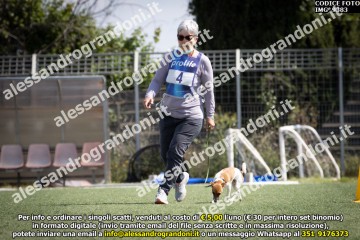 IMG_9383.jpg