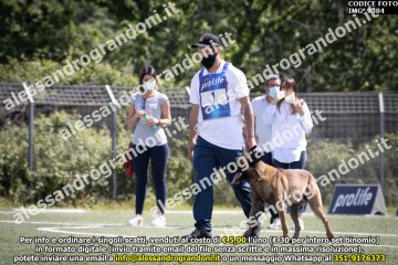 IMG_9384.jpg