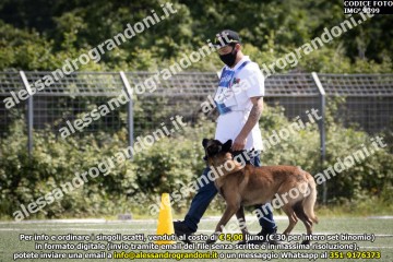 IMG_9399.jpg