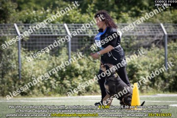 IMG_9404.jpg