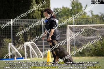 IMG_9406.jpg