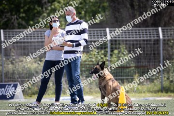 IMG_9407.jpg