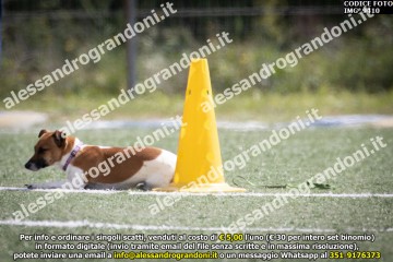 IMG_9410.jpg
