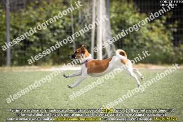 IMG_9414.jpg