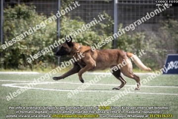 IMG_9418.jpg