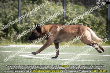 IMG_9419.jpg