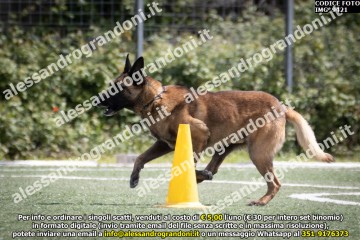 IMG_9421.jpg