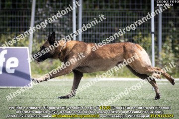 IMG_9423.jpg