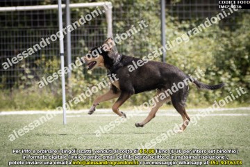 IMG_9436.jpg
