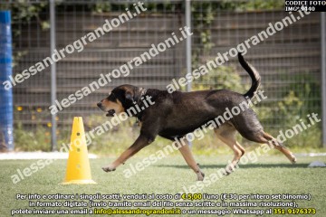 IMG_9440.jpg