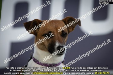 IMG_9455.jpg