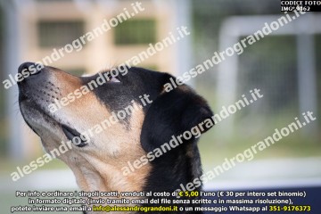IMG_9462.jpg