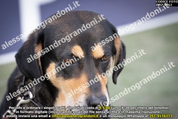 IMG_9463.jpg