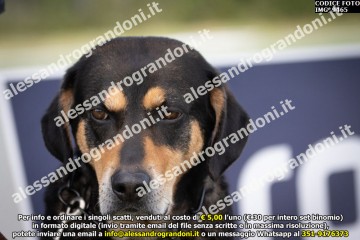 IMG_9465.jpg