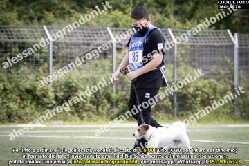 IMG_9470.jpg
