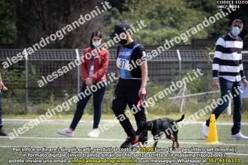 IMG_9484.jpg