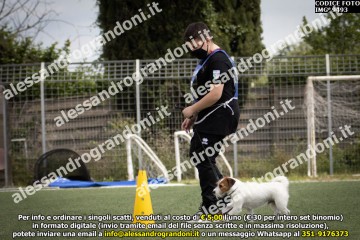 IMG_9493.jpg