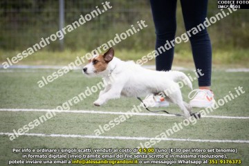 IMG_9501.jpg