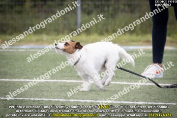 IMG_9502.jpg