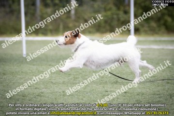 IMG_9508.jpg
