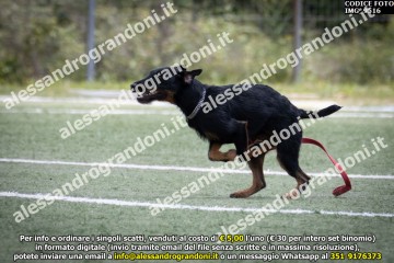 IMG_9516.jpg