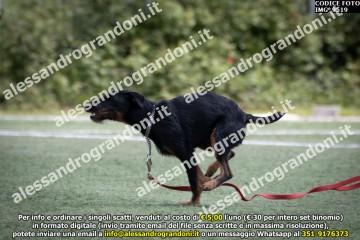 IMG_9519.jpg