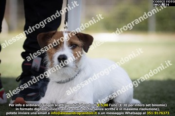 IMG_9534.jpg