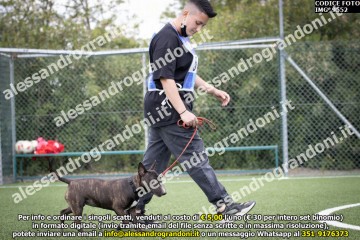 IMG_9552.jpg