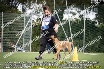 IMG_9556.jpg