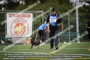 IMG_9561.jpg