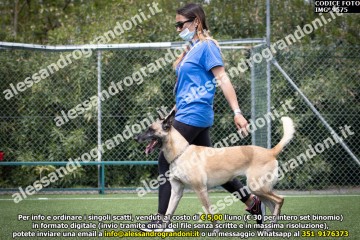 IMG_9575.jpg