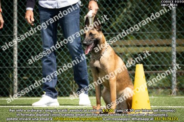 IMG_9581.jpg