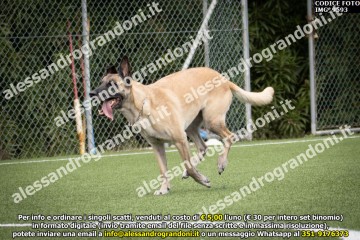 IMG_9593.jpg