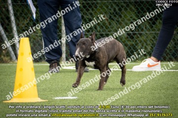 IMG_9602.jpg