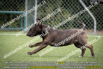 IMG_9614.jpg