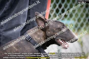 IMG_9616.jpg