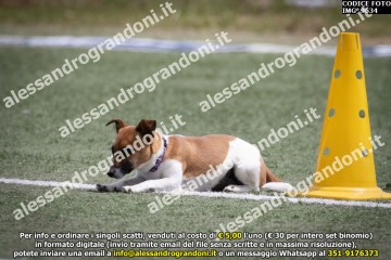 IMG_9634.jpg