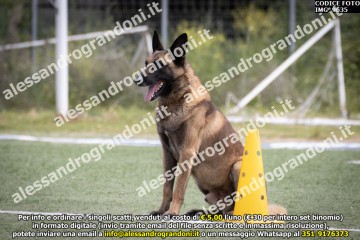 IMG_9635.jpg