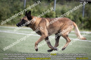 IMG_9638.jpg