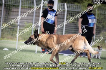 IMG_9639.jpg