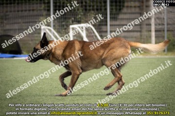 IMG_9642.jpg