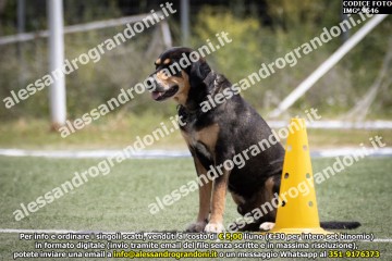 IMG_9646.jpg