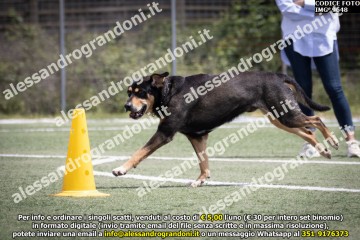 IMG_9648.jpg