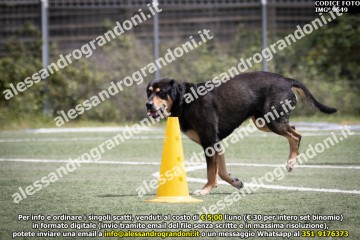 IMG_9649.jpg