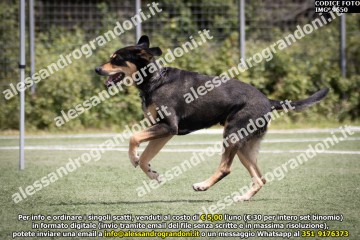IMG_9650.jpg